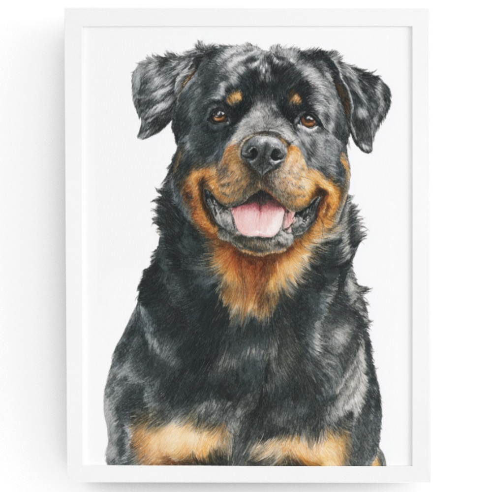 Rottweiler Watercolor Pet Portrait - Dog Wall Art Poster Unframed